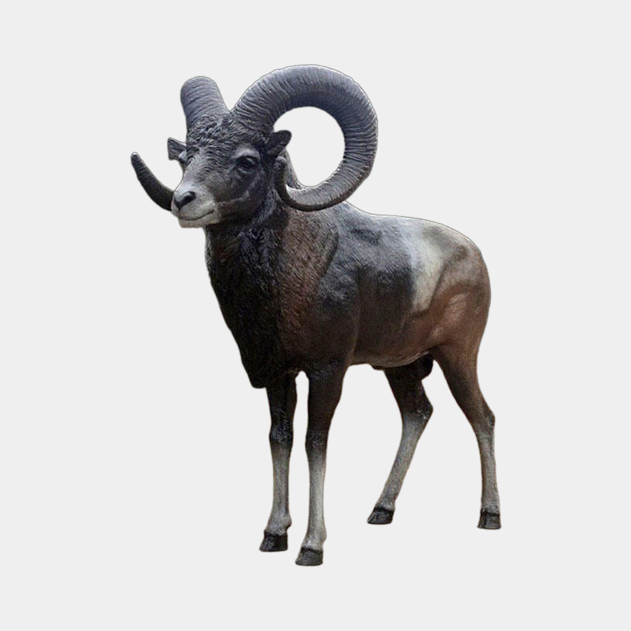 Life-Size Traditional Bighorn Ram Bronze Sculpture by Giant Sculptures, shown front-angled with spiral horns and dark patina, on a plain light background.