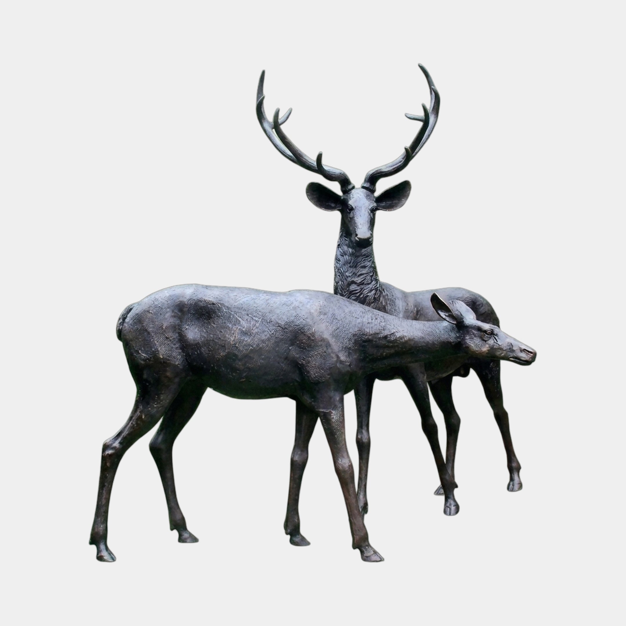Life-Size Traditional Deer Pair Bronze Sculpture (Doe Companion) - 170cm