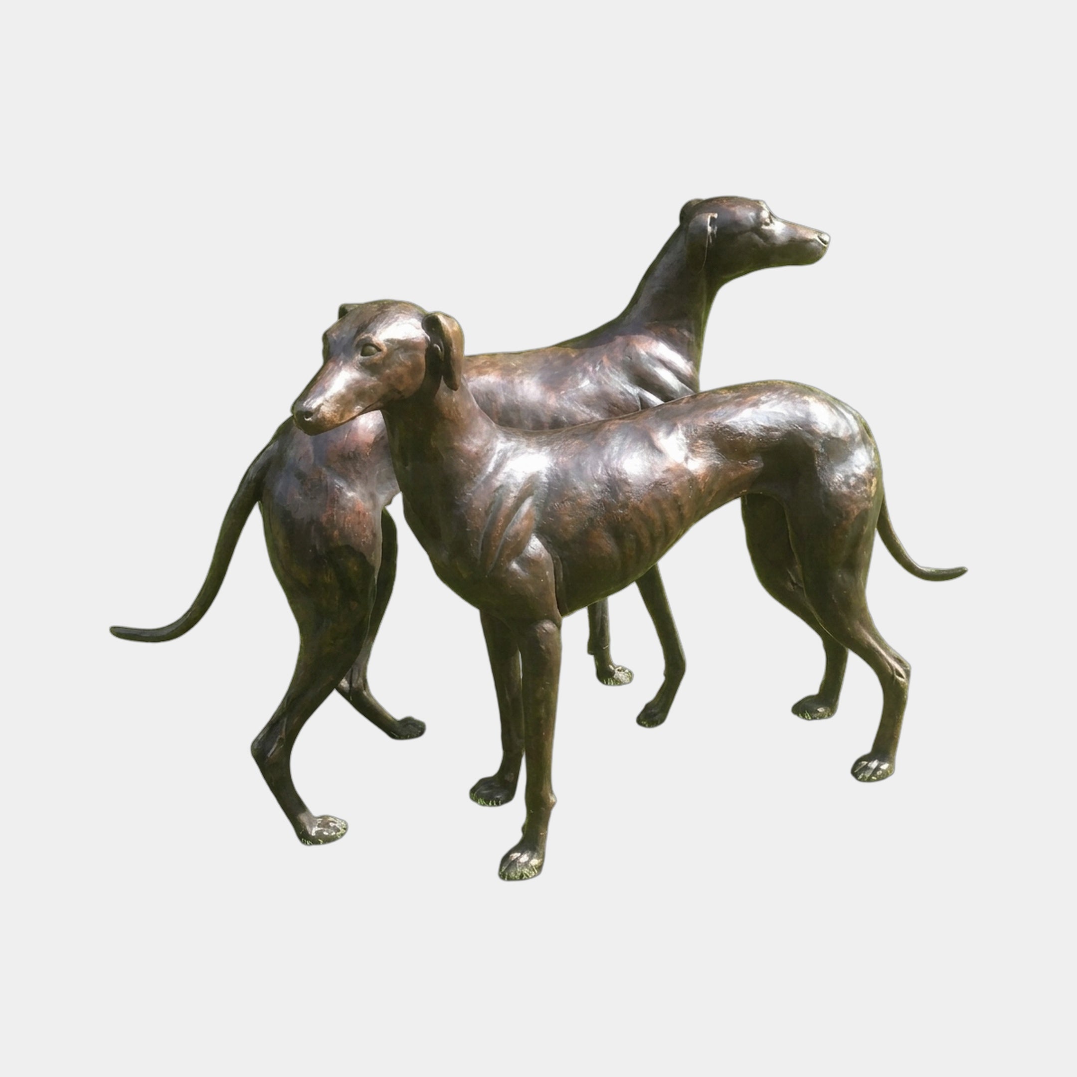 Life-Size Traditional Pair of Greyhounds Bronze Sculpture 90cm by Giant Sculptures, two standing dogs with dark brown patina, heads turned opposite ways, plain background.