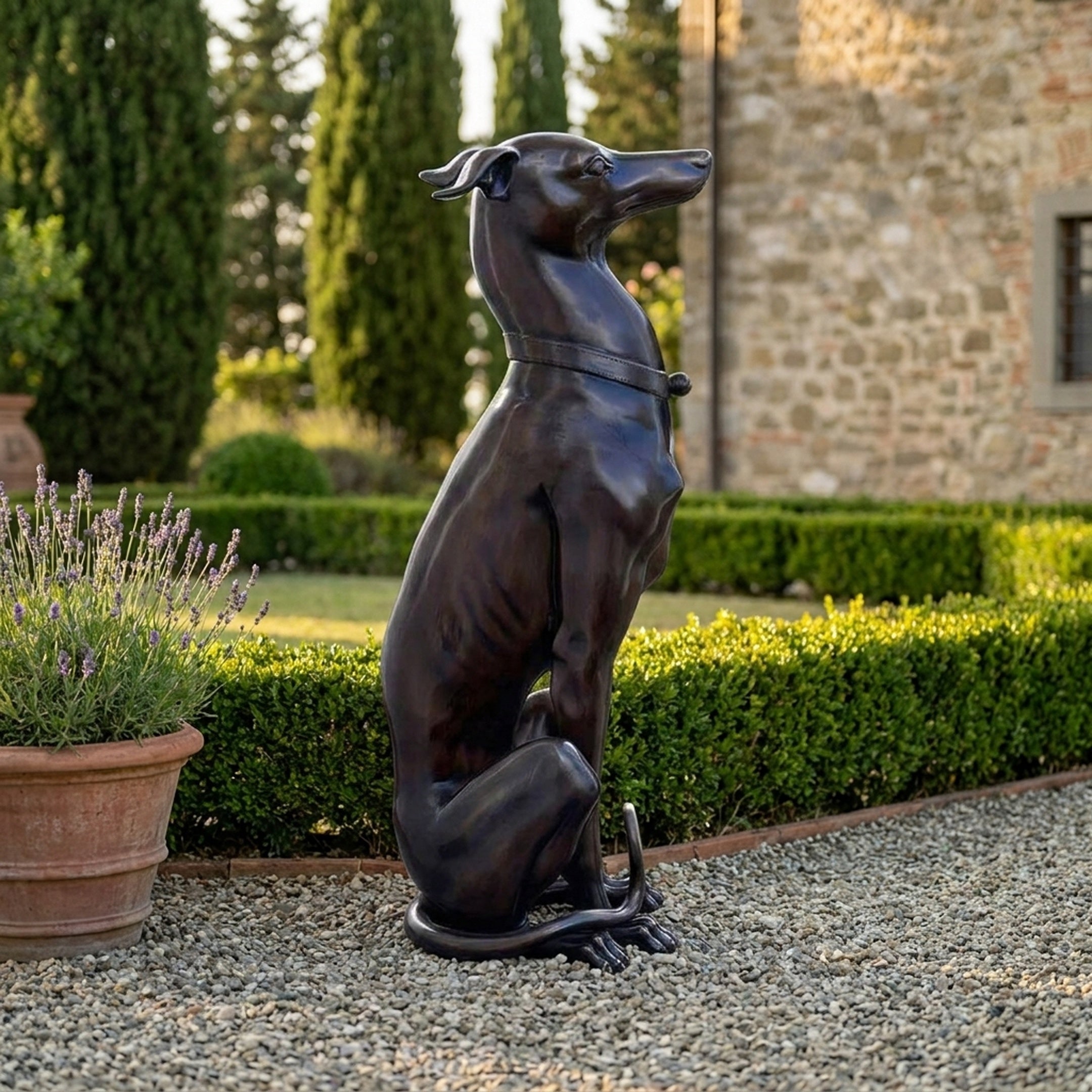 Life-Size Traditional Seated Greyhound Bronze Sculpture by Giant Sculptures with dark patina and collar, displayed on gravel beside lavender in a formal garden.