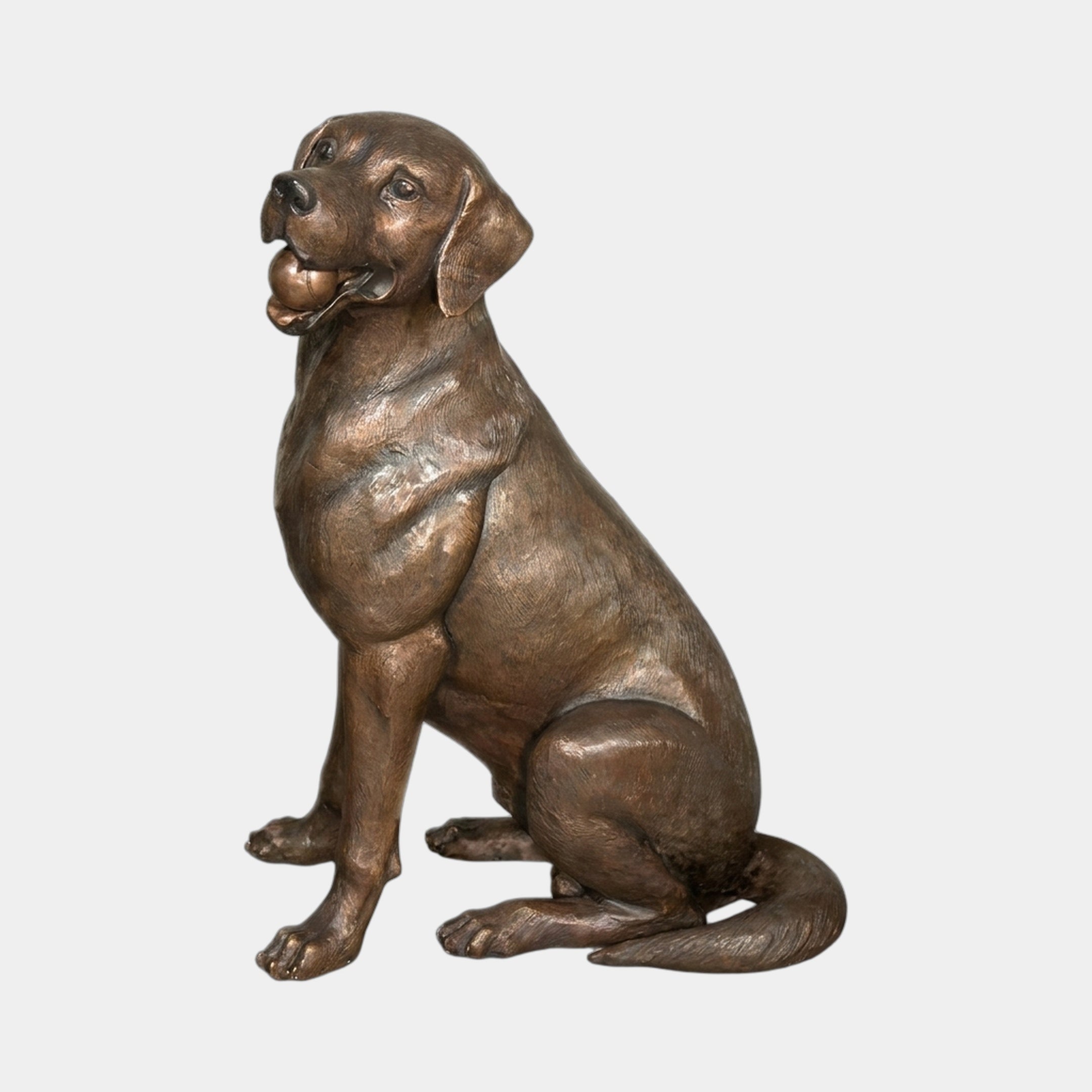 Life-Size Traditional Sitting Labrador Bronze Sculpture by Giant Sculptures, shown in side profile with a ball in its mouth, warm brown patina, on a plain background.