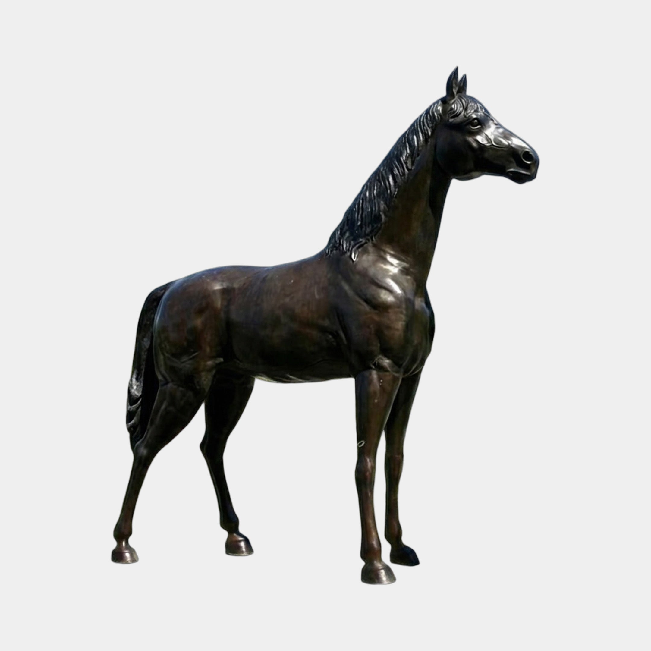 Life-Size Traditional Standing Horse Bronze Sculpture by Giant Sculptures, 180cm tall in dark brown patinated bronze, shown in side profile on a plain background.