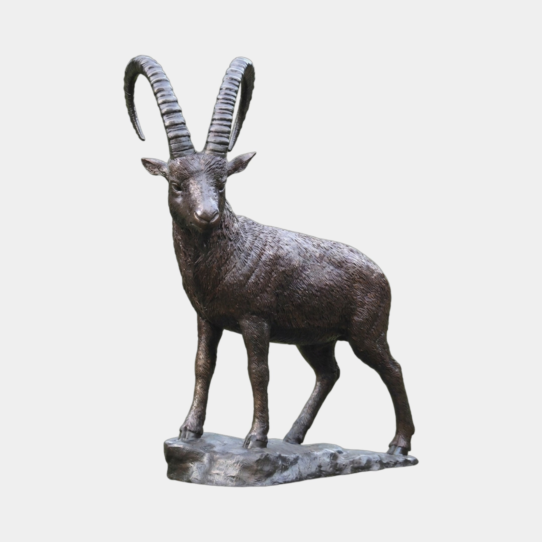 Life-Size Traditional Standing Ibex Bronze Sculpture 300cm by Giant Sculptures, dark brown patina with ridged curved horns, on a rocky base against a plain background.