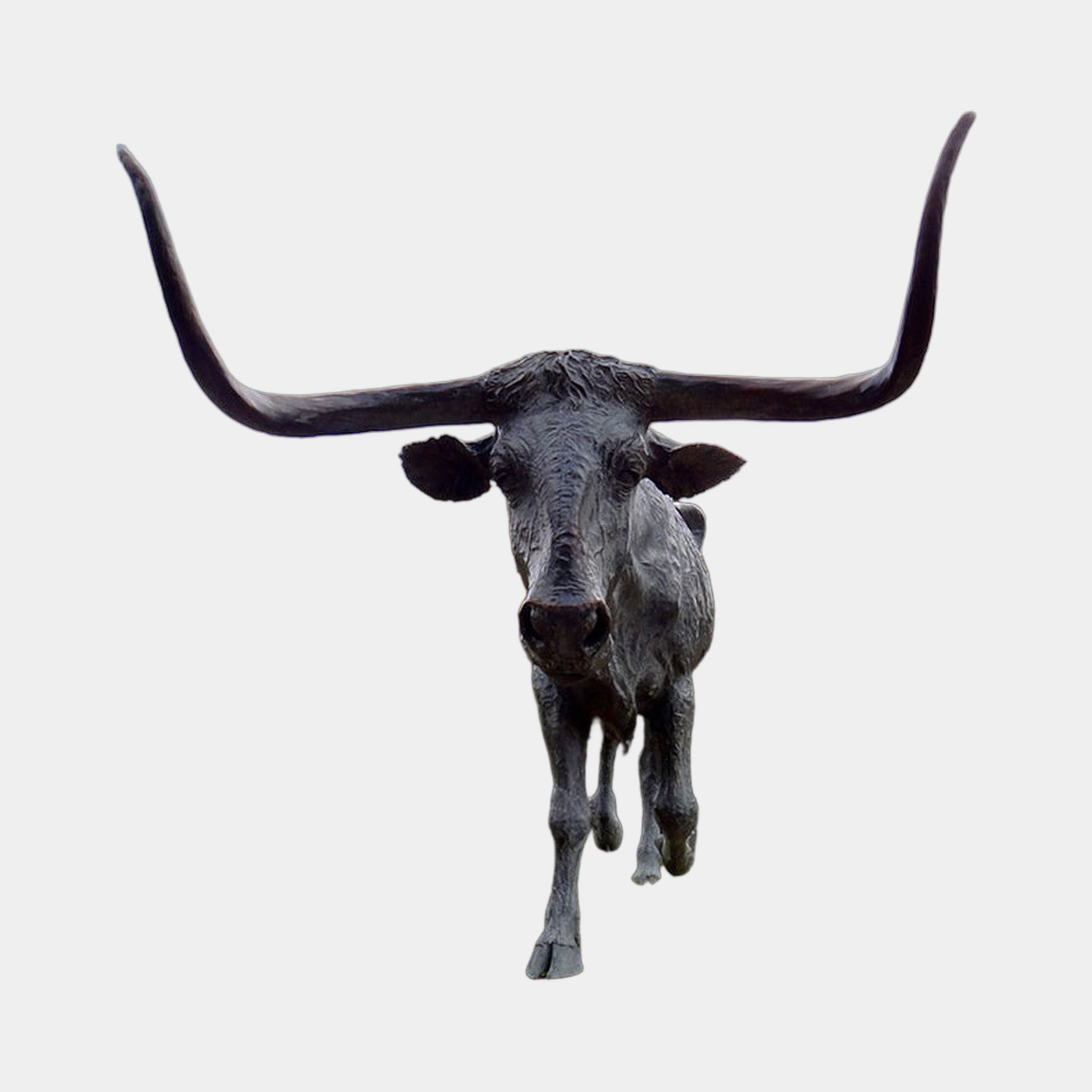 Front-facing Life-Size Traditional Texas Longhorn Bull Bronze Sculpture by Giant Sculptures, showing wide-spanning horns and dark patina against a plain light background.