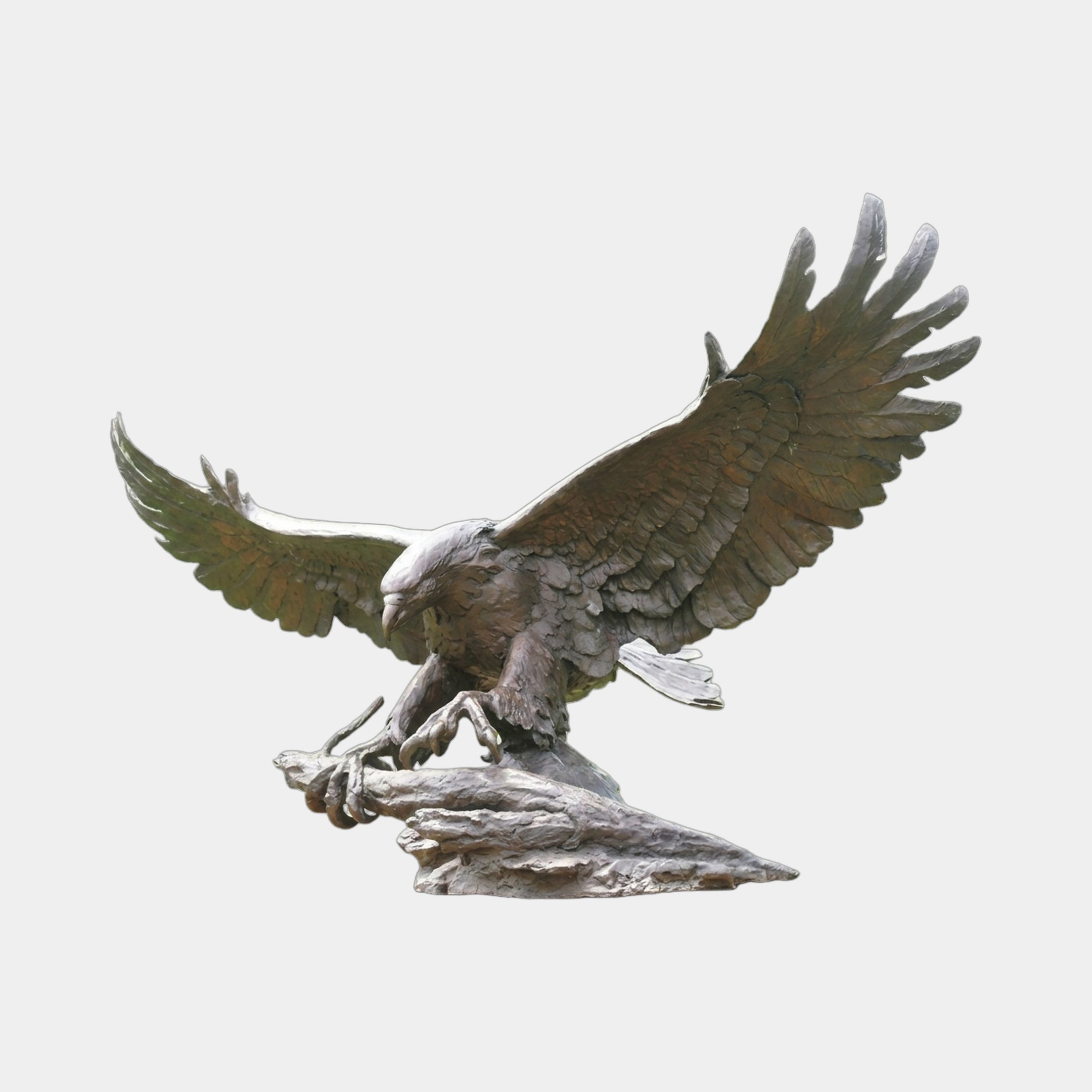Monumental Traditional Eagle Bronze Sculpture 220cm by Giant Sculptures, wings fully spread mid-landing with talons gripping a rocky branch, dark antique patina.