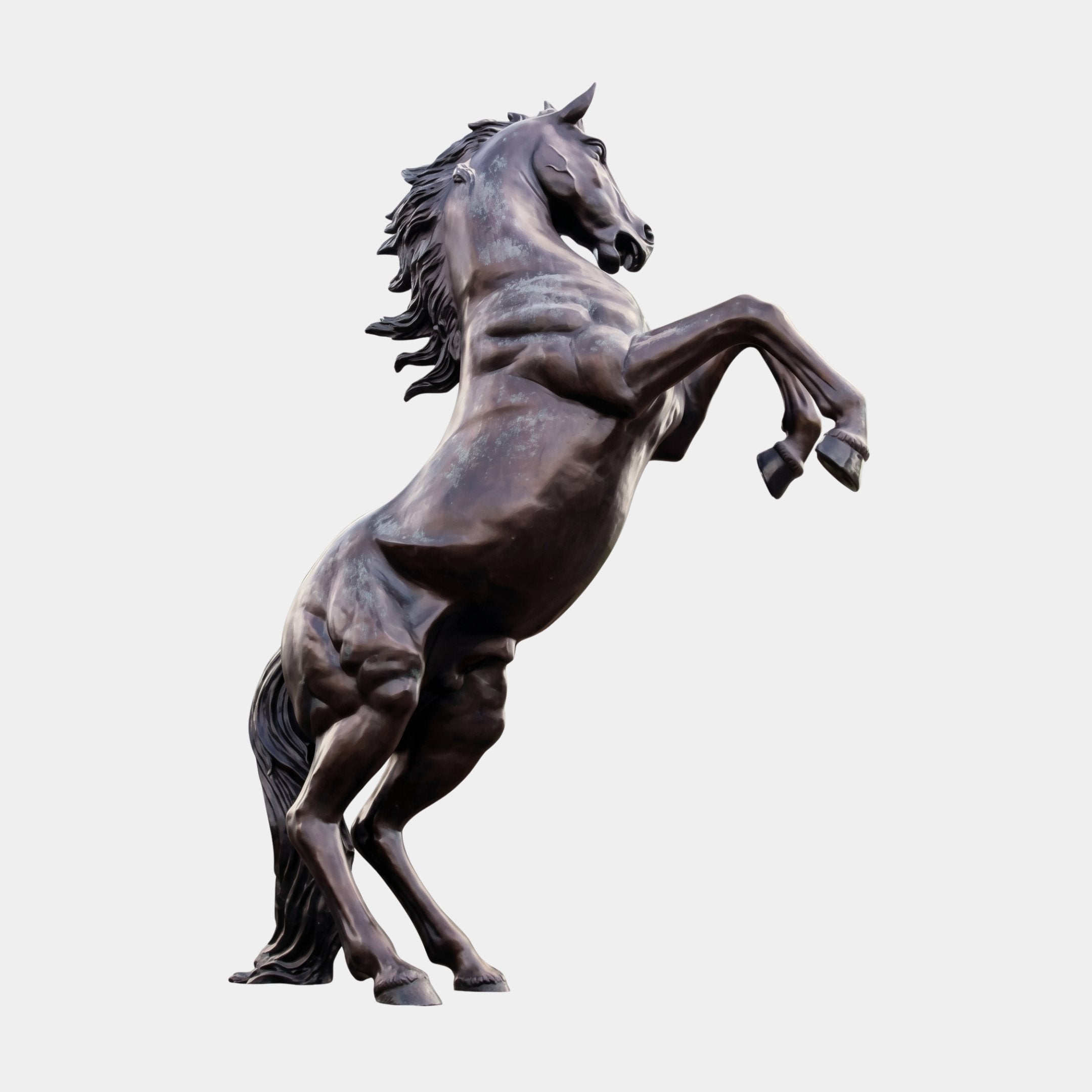 Monumental Traditional Rearing Horse Bronze Sculpture by Giant Sculptures, 320cm, dark brown patina, forelegs raised and mane swept back, on plain background.