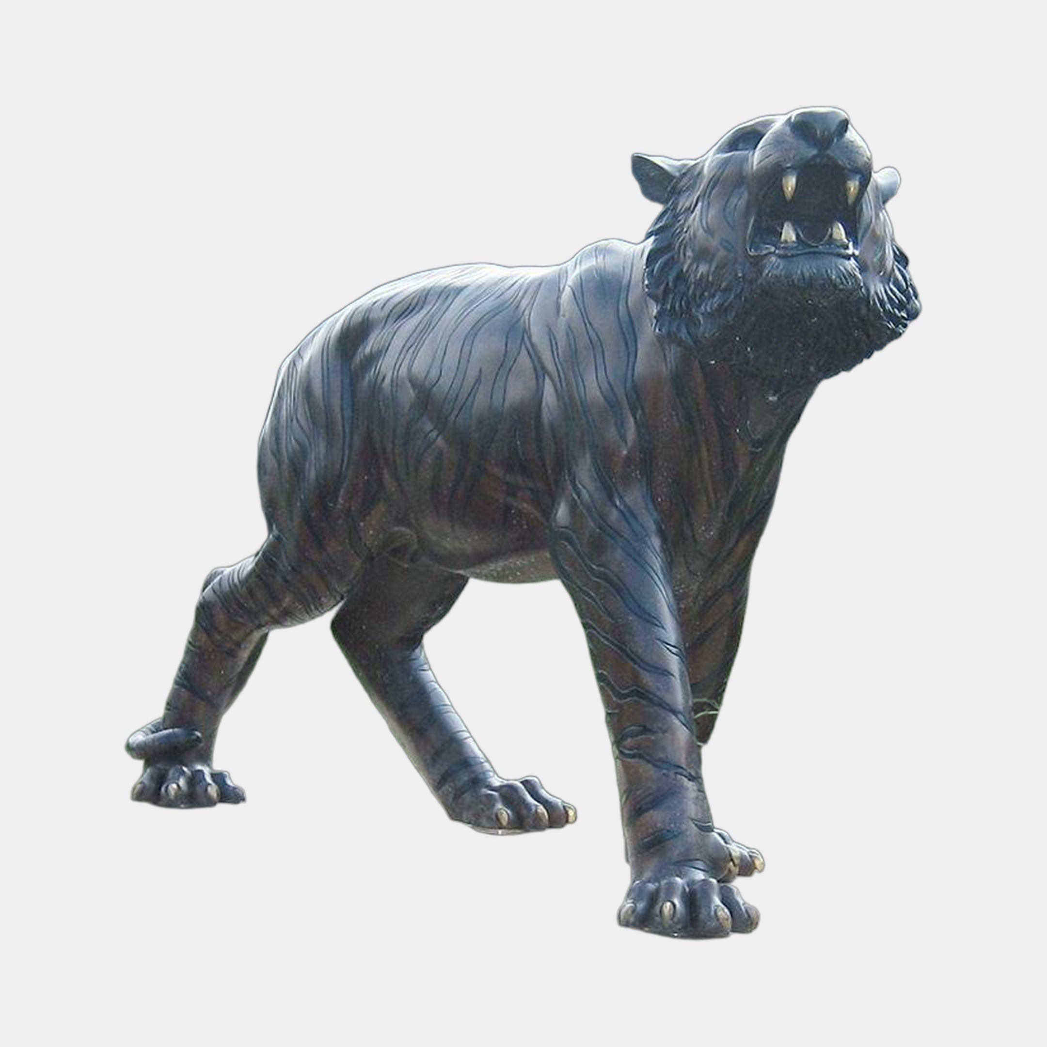 Monumental Traditional Roaring Tiger Bronze Sculpture 180cm by Giant Sculptures, dark patina with engraved fur detail, mid-roar pose, on a plain background.