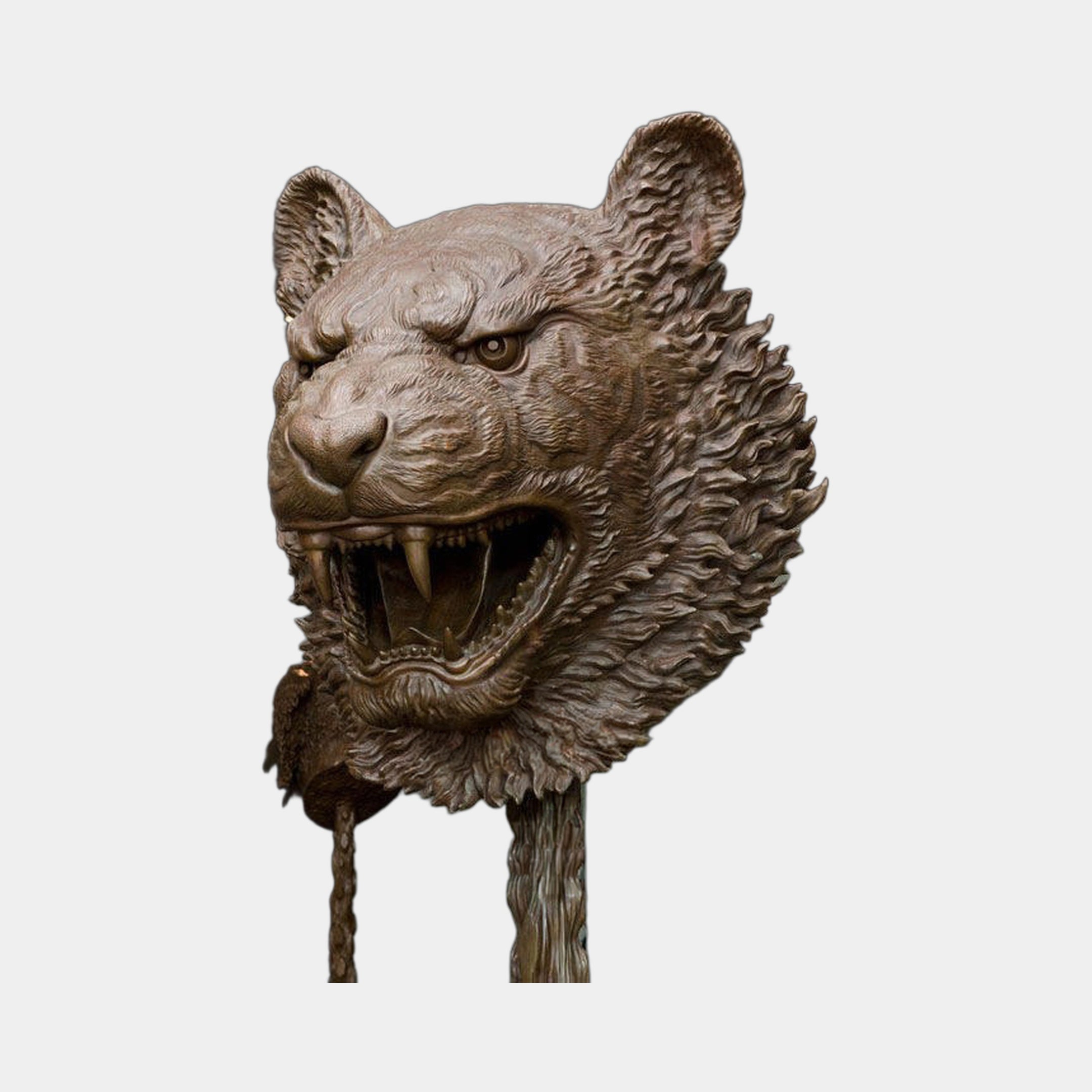 Traditional Roaring Tiger Head Bronze Bust by Giant Sculptures, 45cm, front view showing fangs, layered mane, and reddish-brown patina on a plain background.