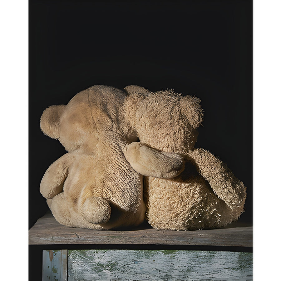 Teddy Bears as Emotional Support: Dive into the World of Teddy Bear Therapy