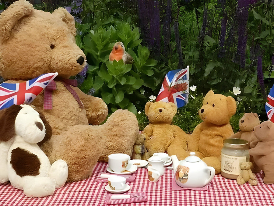 Top tips on throwing the ultimate and unforgettable teddy bear picnic!