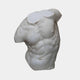 Classical Male Torso Fragment Sculpture in polished white marble by Giant Sculptures, showing carved chest and abdominal musculature, on a plain white background.