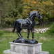 The Standing Horse Black Marble Outdoor Sculpture by Giant Sculptures stands gracefully on a stone pedestal amidst lush greenery and blurred yellow flowers, exemplifying artistic brilliance and quality craftsmanship.