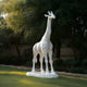 The Skyward Grace Giraffe White Marble Outdoor Sculpture by Giant Sculptures, standing tall at 350cm, graces a grassy area. Gray patterns accentuate the white marble, while sunlight filtering through lush green trees and bushes creates a serene atmosphere around this exquisite work of art.