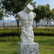Male Marble Torso Sculpture (Draped Hips) 100cm by Giant Sculptures on a veined marble plinth in a grassy park with trees and distant buildings.