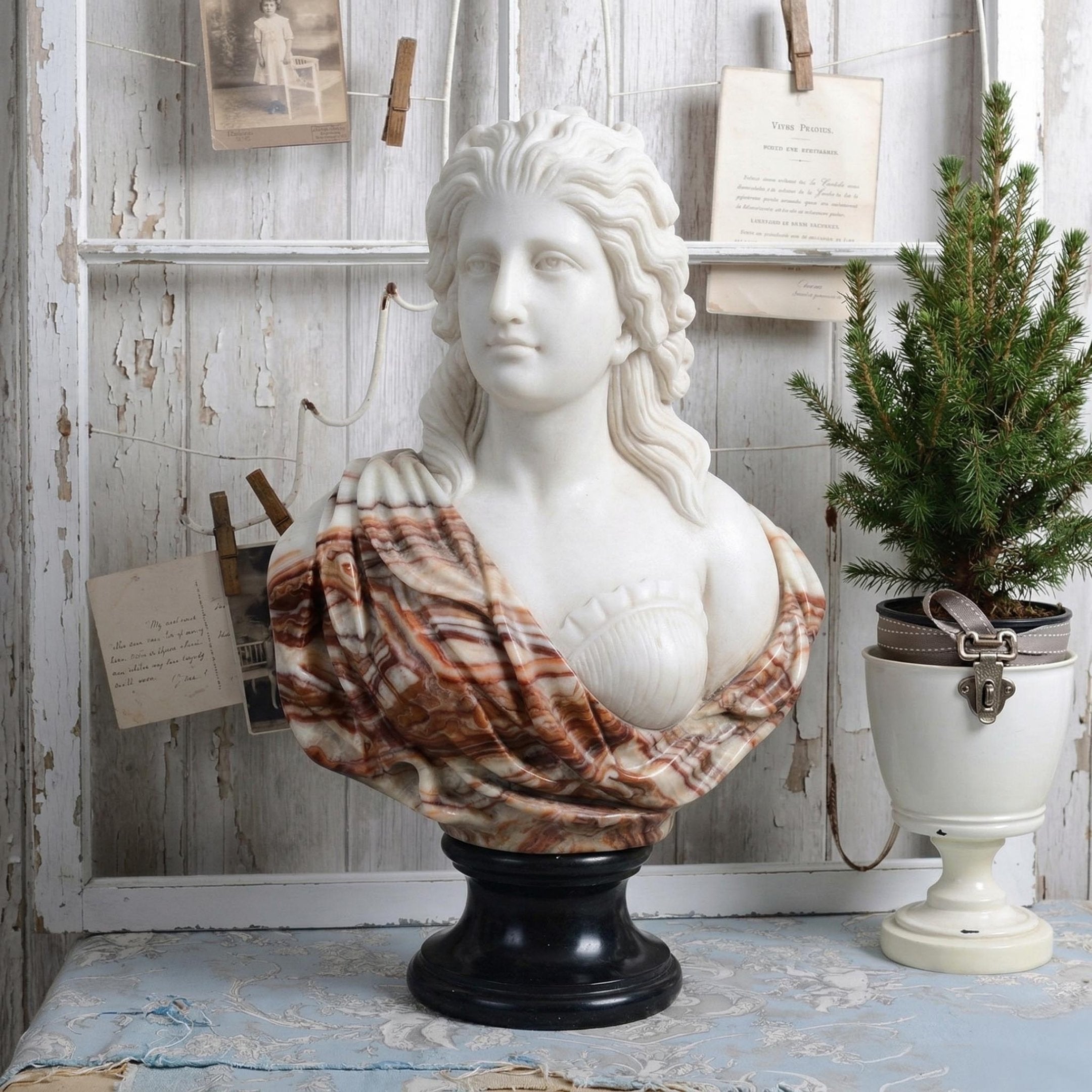 The Venus Marble Bust Sculpture (75cm) by Giant Sculptures stands on a black pedestal. Vintage photos and papers hang on a weathered wall behind it, while a small potted evergreen sits nearby.