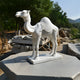 The Regal Camel White Marble Outdoor Sculpture by Giant Sculptures, standing 160cm tall, showcases fine craftsmanship on a gray stone surface. Its intricately patterned saddle combines with lush greenery and rocky structures in the background, blending indoor and outdoor elegance.