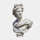 The Apollo Marble Bust Sculpture (75cm) by Giant Sculptures depicts an ancient Greek male with curly hair and draped clothing, shown from the chest up and gazing right, set against a plain white background.