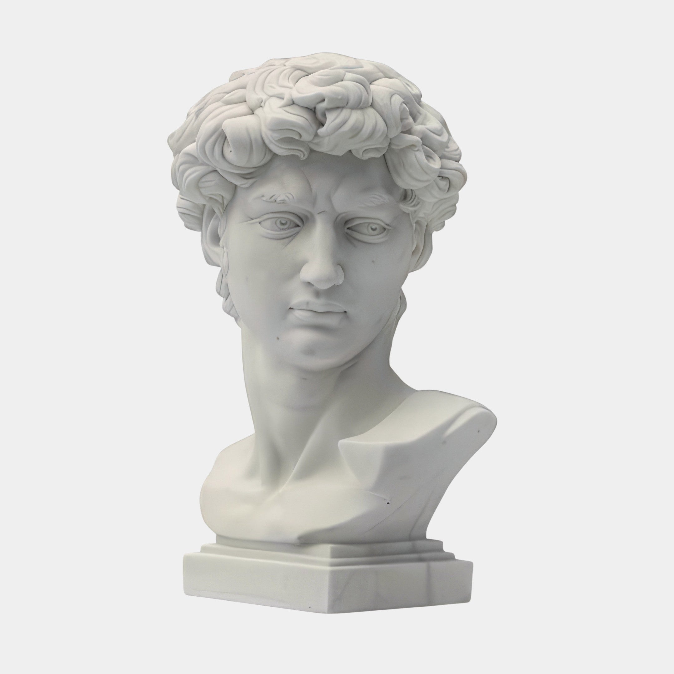 Michelangelo's David Marble Bust Sculpture by Giant Sculptures—55cm tall, featuring curly hair and a serious expression on a rectangular base, stands out against a plain white background.