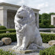 The Giant Lion Marble Outdoor Sculpture - 150cm by Giant Sculptures sits on gravel amid trimmed bushes and rocks, with classical stone buildings and greenery behind, making it a striking, elegant addition to any garden or entryway.