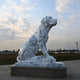 The 150cm Attentive Hound Dog Marble Outdoor Sculpture by Giant Sculptures sits majestically on a stone platform, surrounded by partly cloudy skies, with trees and fields in the background.
