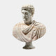 The Marcus Aurelius Marble Bust Sculpture by Giant Sculptures stands 65cm tall, featuring a bearded man with curly hair and a draped robe, intricately detailed with realistic features against a plain white background.