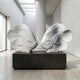 Two Swirl-Fin Angel Fish I Marble Outdoor Sculptures (40cm) from Giant Sculptures face each other on a black pedestal in a bright gallery, their marble surfaces reflecting light—ideal as eye-catching garden décor.