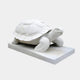 The Longevity Tortoise Marble Outdoor Sculpture by Giant Sculptures is an 80cm white marble piece with detailed shell and limb textures on a rectangular base, providing a realistic and exquisite touch to any garden decor against a plain background.