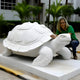 A person crouches beside the Longevity Tortoise Marble Outdoor Sculpture by Giant Sculptures. At 80cm, this detailed piece seamlessly enhances garden decor. Palm trees and a building in the background add to the serene atmosphere.