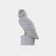 The Watchful Owl Marble Outdoor Sculpture by Giant Sculptures features a detailed feather-carved owl on a cylindrical base. This hand-carved 40cm white marble piece stands out against a plain light gray background, perfect for garden decor.