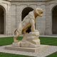 The Roaring Rock Tiger Yellow Marble Outdoor Sculpture (150cm) by Giant Sculptures stands on a stone pedestal in a grassy courtyard with arched stone walls, depicting a fierce tiger in vivid yellow marble.