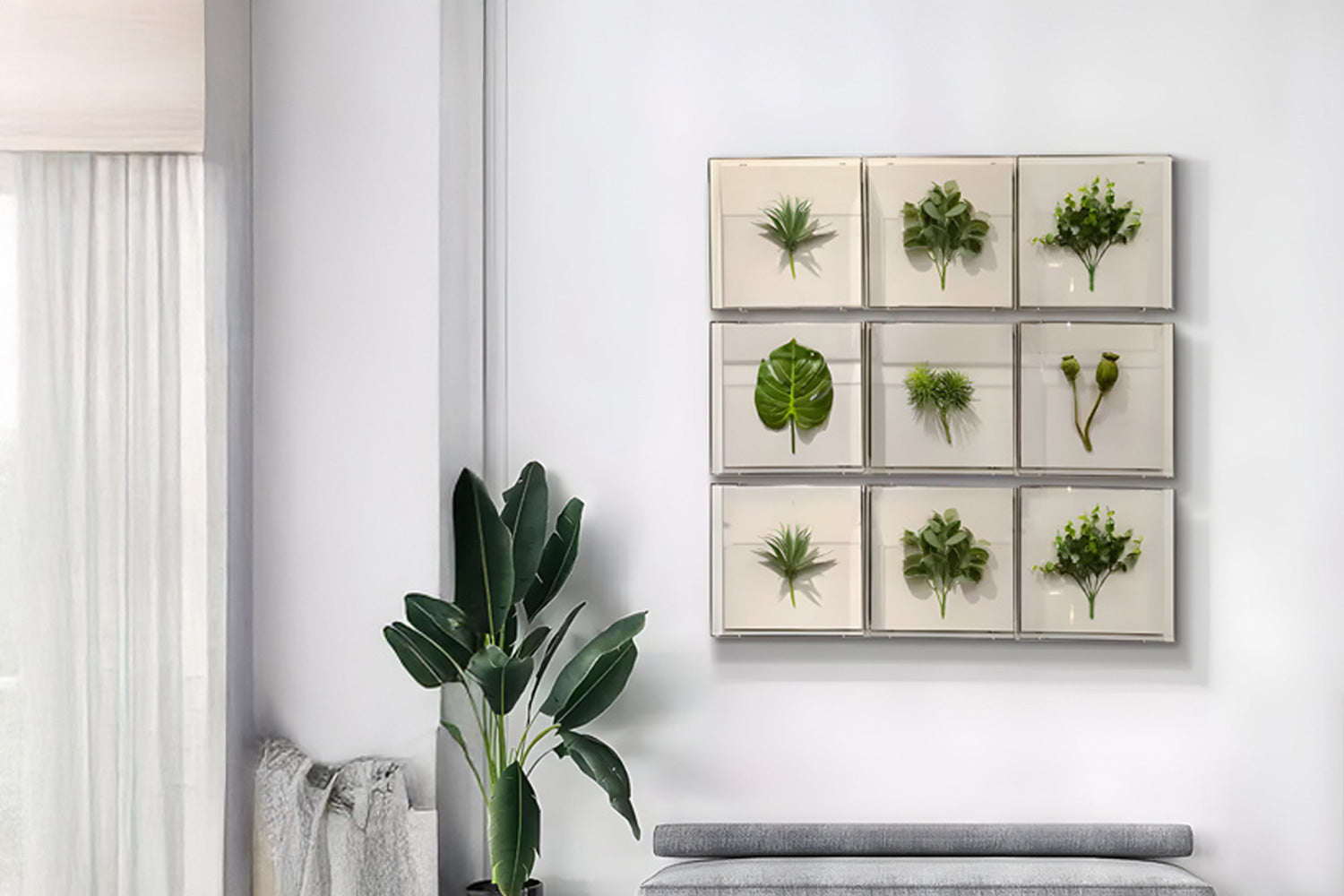 A modern living room features a grid of framed botanical prints on a white wall. A potted plant stands beside a gray cushioned bench, and light curtains cover a nearby window, creating a serene atmosphere.