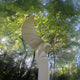 Set among lush green trees with sunlight streaming through, the Swooping Arc Owl Marble Outdoor Sculpture by Giant Sculptures, standing at 120cm, resembles a bird with a curved wing and serves as an exquisite garden focal point.