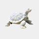The Patterned Shell Tortoise Marble Outdoor Sculpture by Giant Sculptures is a 90cm, lifelike masterpiece crafted from smooth white marble. It boasts intricate shell patterns and textured skin, offering a tranquil presence against a light gray background.