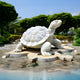 The Patterned Shell Tortoise Marble Outdoor Sculpture by Giant Sculptures, standing at 90cm, features exquisite hand-carved details. Set in a lush garden with small water bodies and a clear blue sky, it creates a tranquil scene.