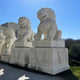 Under a clear sky, Giant Sculptures Chinese Guardian Lion V Marble Outdoor Sculptures (200cm) stand atop decorated pedestals. The detailed hand-carving casts shadows on the bases, while tall bushes add natural color to the scene.