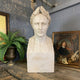 The Napoleon Marble Bust Sculpture - 60cm by Giant Sculptures rests on a wooden table between a potted fern and a framed portrait, adding historic charm and elegance to the scene against the gray brick wall.