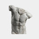 The Male Marble Torso Sculpture - 80cm by Giant Sculptures features a headless, armless male figure with detailed muscles and a smooth white finish, beautifully displayed against a plain background.