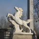 Giant Sculptures Cloud Rider Horse Marble Outdoor Sculpture - 200cm, with its flowing mane and tail, majestically stands on a pedestal amidst bare trees and a tall column. The clear blue sky reflects the freedom of this elegant rearing horse.