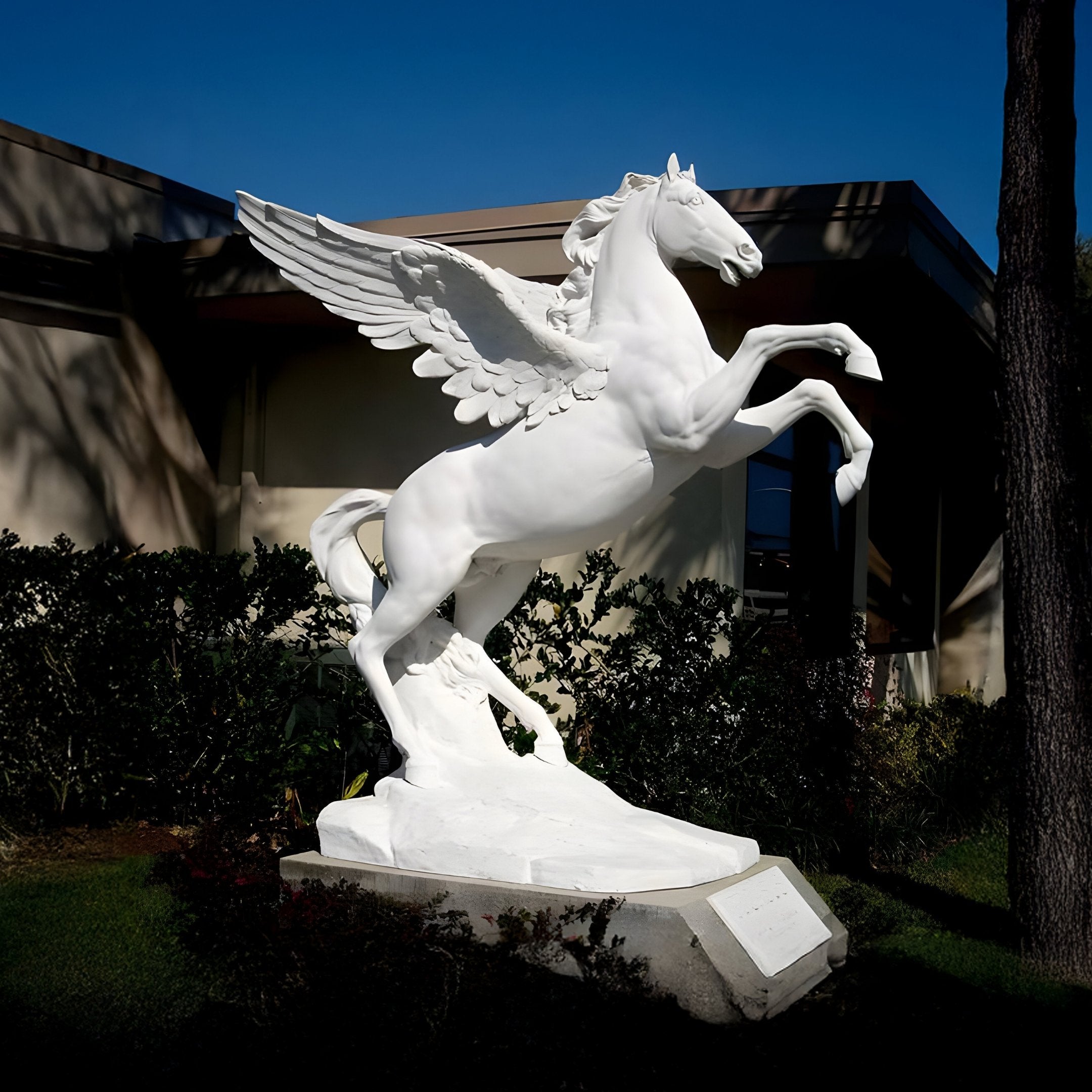 The Pegasus White Marble Outdoor Sculpture (200cm) by Giant Sculptures majestically stands on its hind legs in the garden, with sunlight reflecting off the white marble as tree shadows dance across its surface and a building in the backdrop.