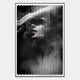 Flutara Smoke Muse Folded Acrylic 3D Wall Art