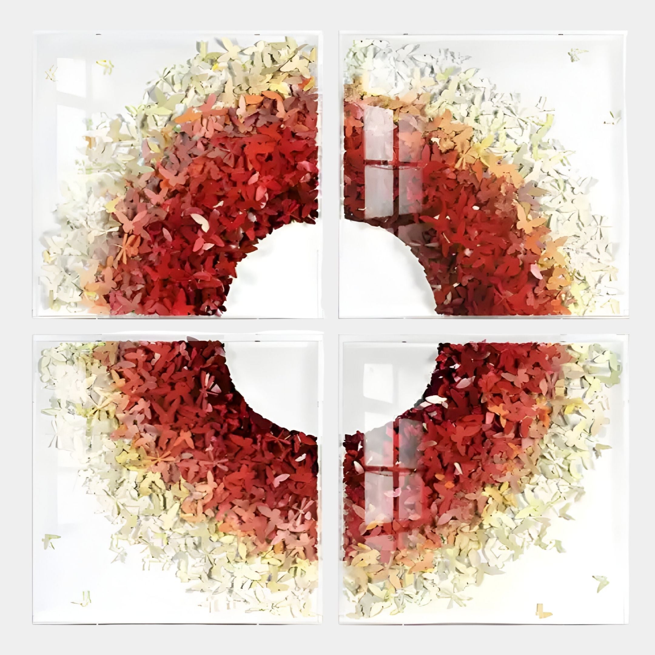 Volara Flame Ring Paper & Acrylic 3D Wall Art