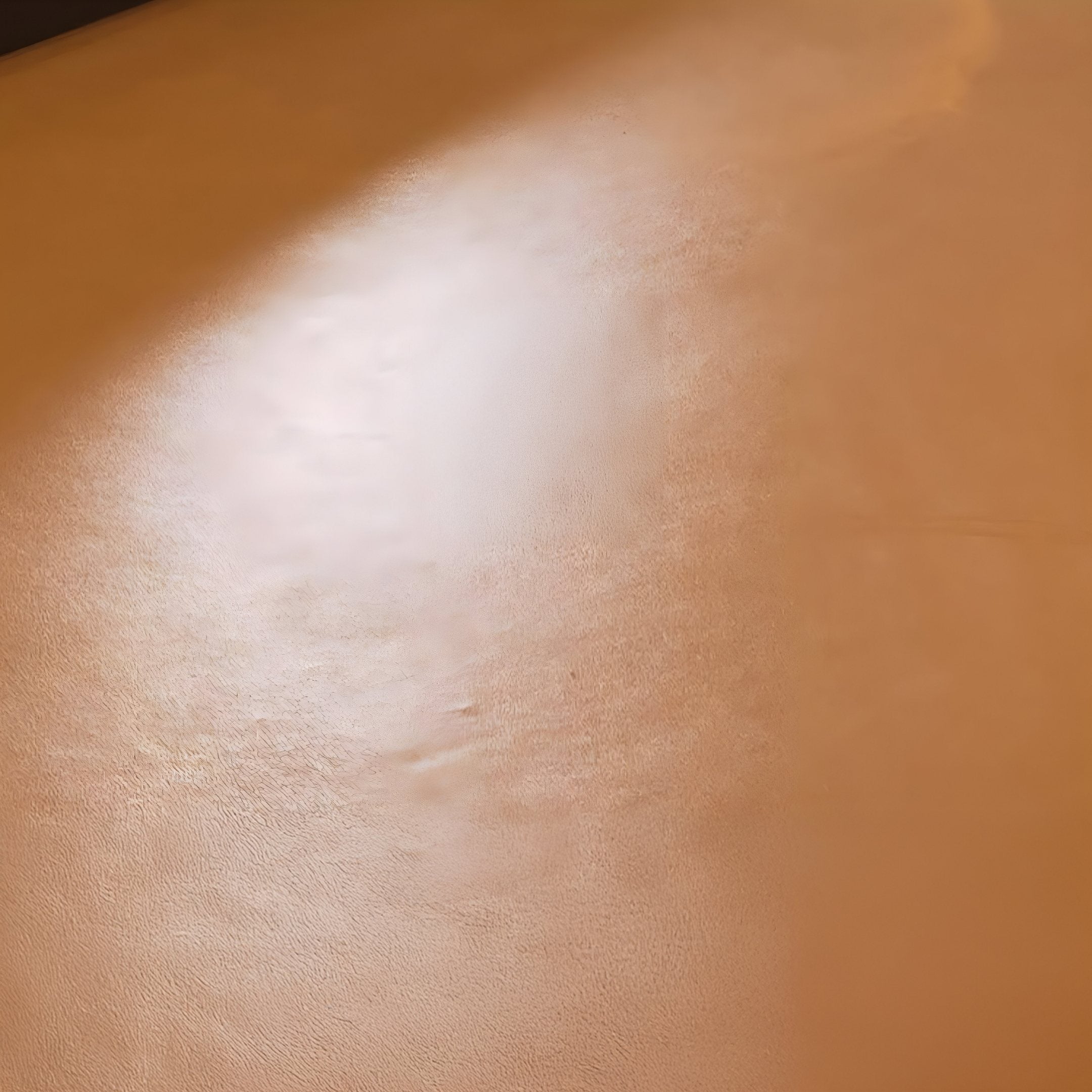 Modvara Solid Burnt Orange Fusion Acrylic & Leather Wall Art