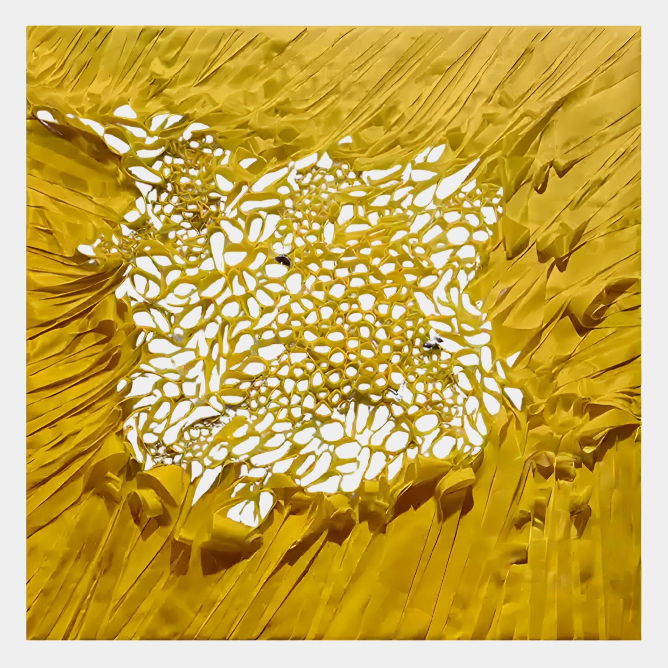 Velorra Golden Honey Bloom Ribbon Frameless 3D Wall Art