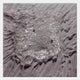Velorra Dusty Lavender Bloom Ribbon Frameless 3D Wall Art by Giant Sculptures featuring a central lace-like petal cluster surrounded by sculpted ribbon folds in matte dusty lavender tones.
