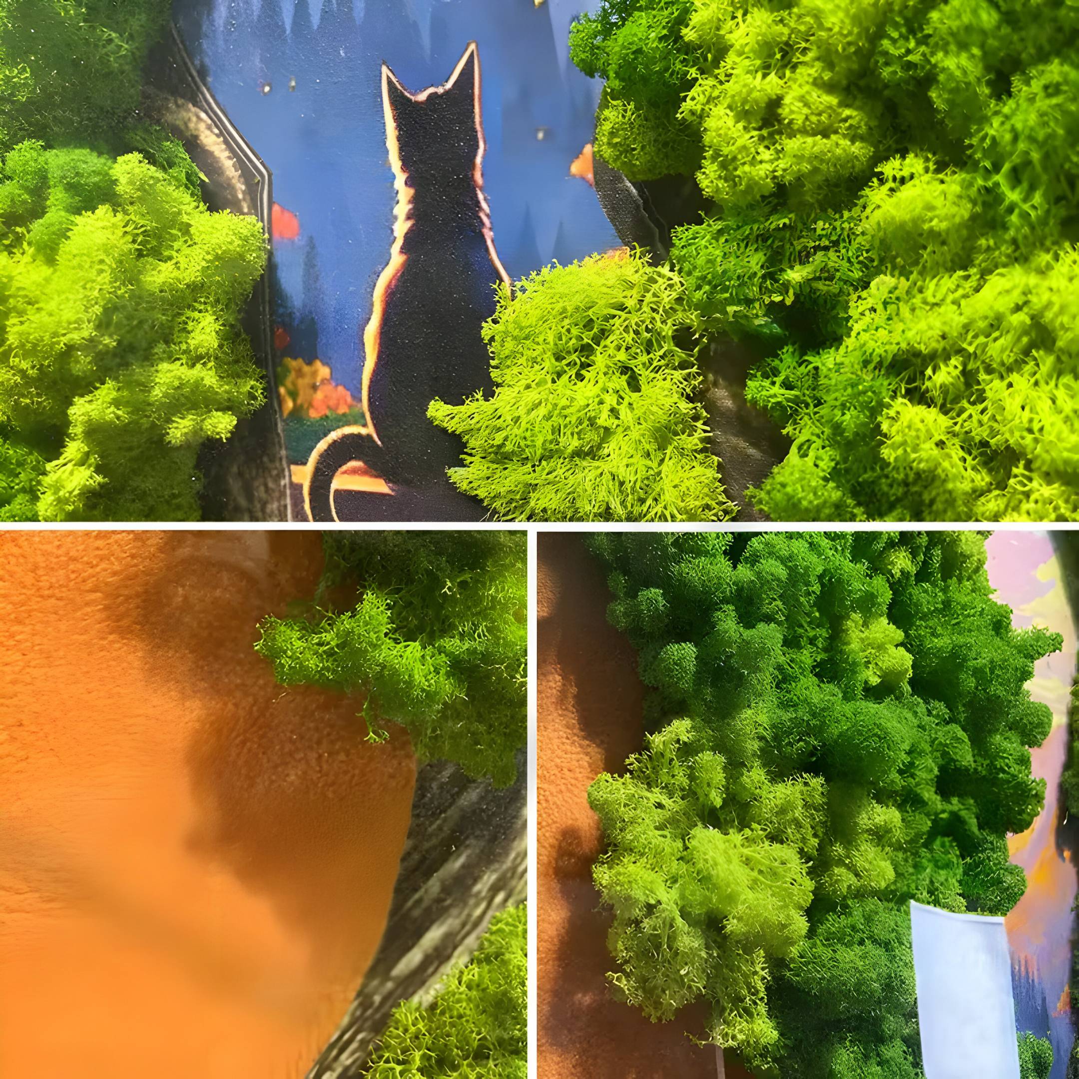 Truvira Sunset Watch Cat Moss Framed 3D Wall Art
