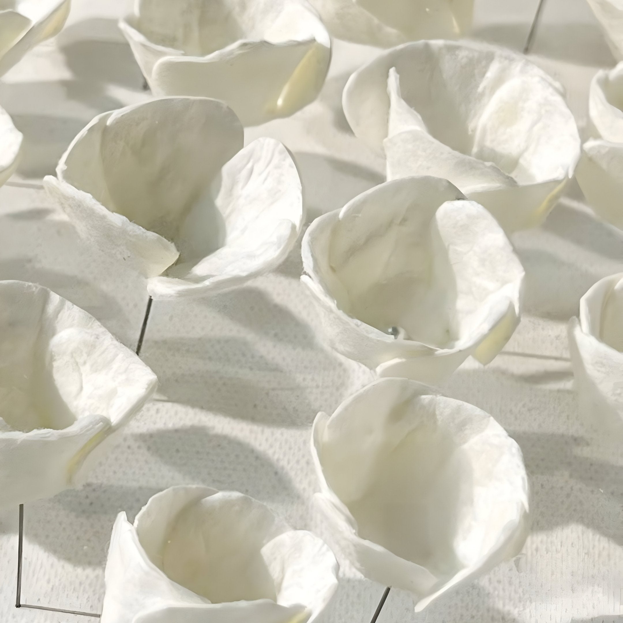 Terraform Flower Form Paper 3D Wall Art