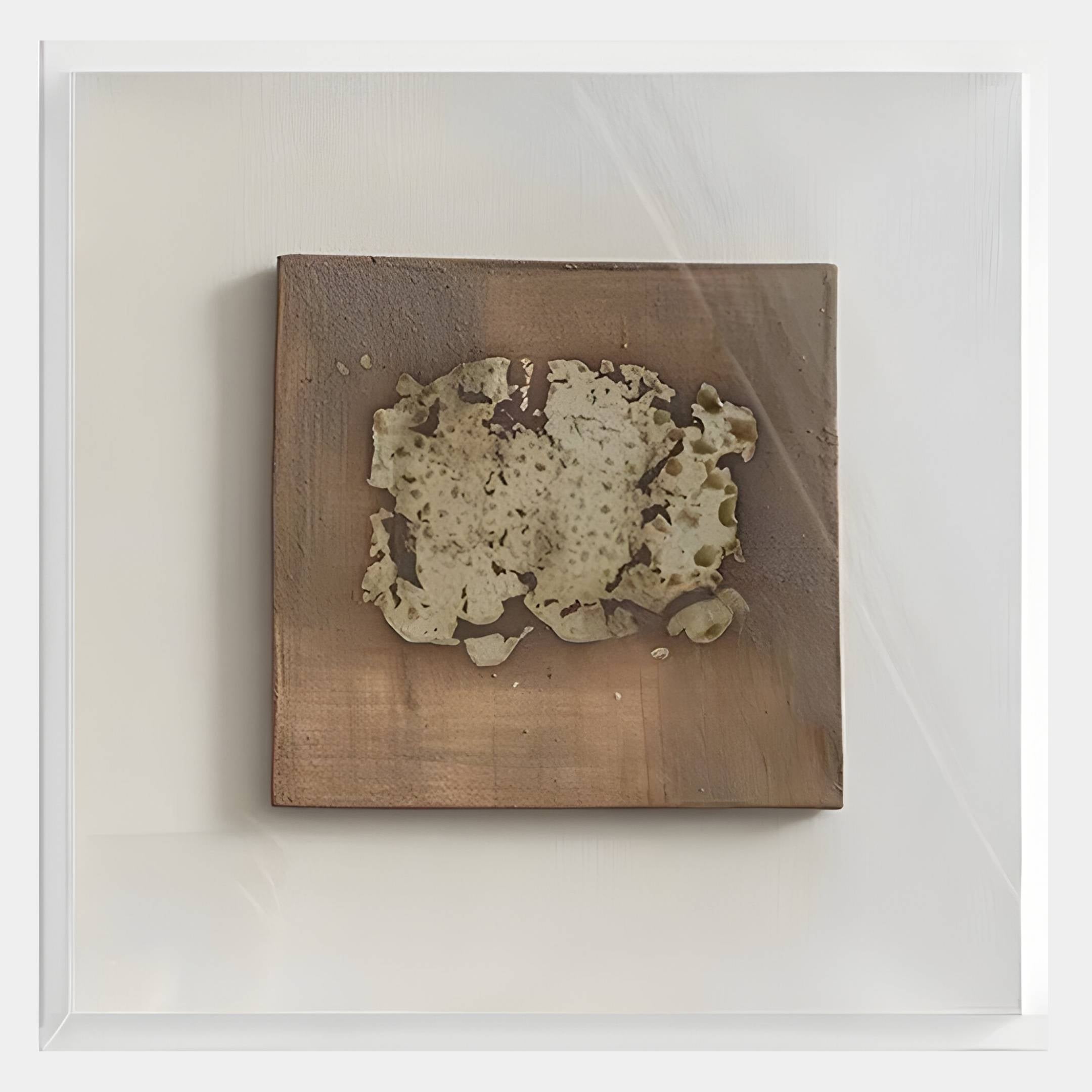 Crustara Weathered Shell Hand Painted Wall Art