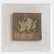 Crustara Weathered Shell Hand Painted Wall Art