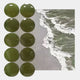 Tidelune Olive Green Acrylic Disc & Tidal Scene 3D Wall Art