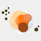 Cirelo Amber & Orange Disc Acrylic 3D Wall Art With Metal Balls